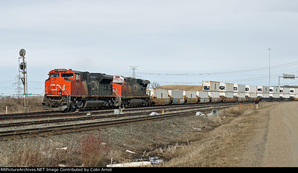 CN 8004